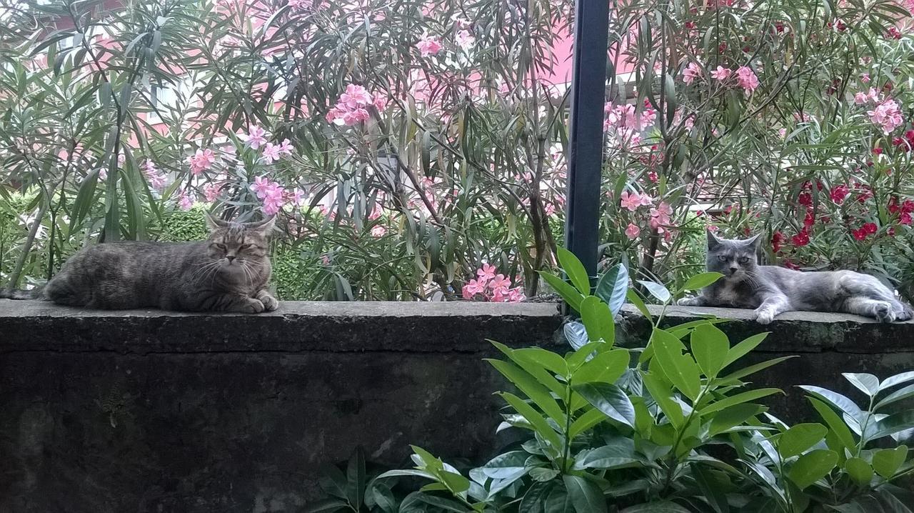 Sangalli Boario Terme